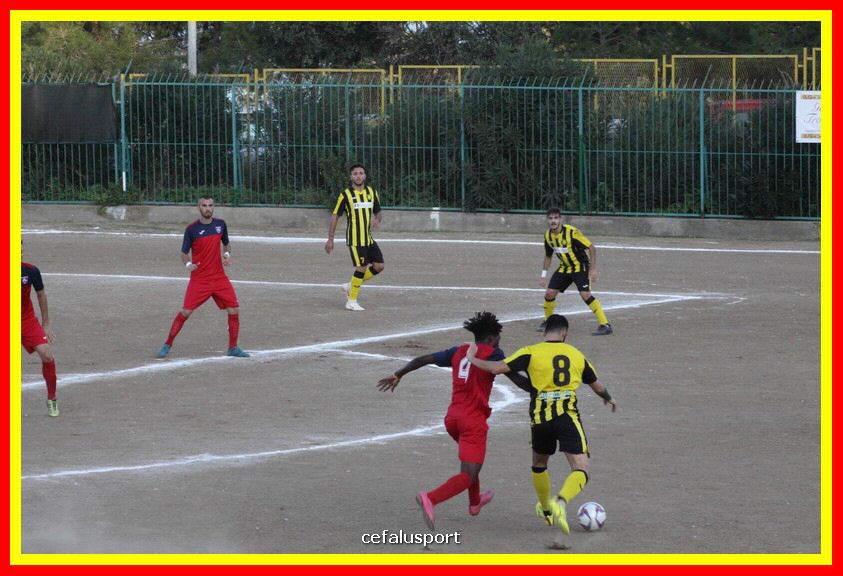 181111 Cepha_Milazzo 123_tn.JPG